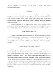 Laisvalaikio tyrimas mieste ir kaime 7 puslapis