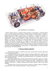 Lengvojo automobilio BAЗ – 21011 pavarų dėžė 4 puslapis