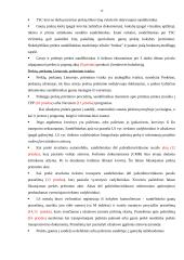 Logistinių įgūdžių lavinimo praktika AB "Baltijos" laivų statykloje 12 puslapis