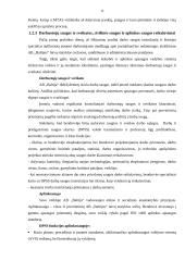 Logistinių įgūdžių lavinimo praktika AB "Baltijos" laivų statykloje 13 puslapis