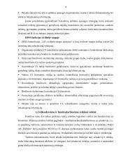 Logistinių įgūdžių lavinimo praktika AB "Baltijos" laivų statykloje 15 puslapis