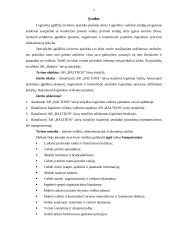 Logistinių įgūdžių lavinimo praktika AB "Baltijos" laivų statykloje 2 puslapis