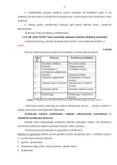 Logistinių įgūdžių lavinimo praktika AB "Baltijos" laivų statykloje 20 puslapis