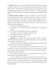 Logistinių įgūdžių lavinimo praktika AB "Baltijos" laivų statykloje 6 puslapis