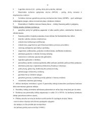 Logistinių įgūdžių lavinimo praktika AB "Baltijos" laivų statykloje 9 puslapis