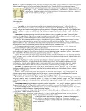 Mokomosios praktikos ataskaita: Tekinimas 3 puslapis