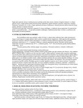 Mokomosios praktikos ataskaita: Tekinimas 5 puslapis