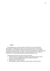 Lengvųjų automobilių universalus einamojo remonto postas 15 puslapis