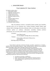 Lengvųjų automobilių universalus einamojo remonto postas 3 puslapis