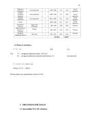 Lengvųjų automobilių universalus einamojo remonto postas 9 puslapis