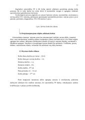 Lengvųjų automobilių universalus einamojo remonto postas 10 puslapis