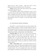 Pažintinė praktika: alkoholinių gėrimų rinkodara  UAB "Mineraliniai vandenys" 11 puslapis