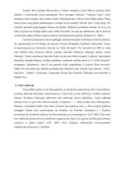 Lietuvių kino finansavimas ir sklaida 14 puslapis