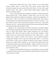 Lietuvių kino finansavimas ir sklaida 7 puslapis