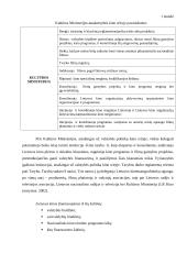 Lietuvių kino finansavimas ir sklaida 8 puslapis