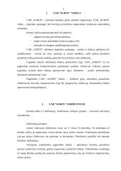 Pažintinės praktikos ataskaita: logistikos paslaugos UAB "Agros" 3 puslapis