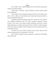 Pažintinės praktikos ataskaita: logistikos paslaugos UAB "Agros" 9 puslapis