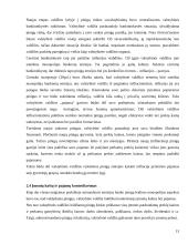 Lietuvos centrinio (emisijos) banko įtaka ekonomikai 12 puslapis