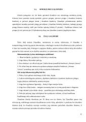 Draudimo paslaugų pardavimų praktika 14 puslapis