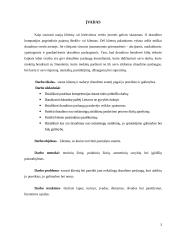 Draudimo paslaugų pardavimų praktika 2 puslapis