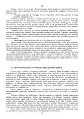 Lietuvos integravimasis į tarptautinę ekonomiką 18 puslapis