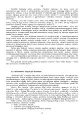 Lietuvos integravimasis į tarptautinę ekonomiką 19 puslapis