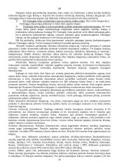 Lietuvos integravimasis į tarptautinę ekonomiką 20 puslapis