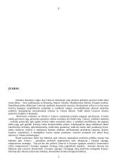 Lietuvos integravimasis į tarptautinę ekonomiką 3 puslapis