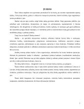 Lietuvos ir Latvijos bankų palyginamieji aspektai 2 puslapis