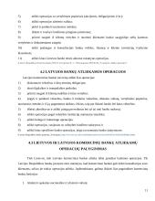 Lietuvos ir Latvijos bankų palyginamieji aspektai 11 puslapis
