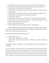 Lietuvos ir Latvijos bankų palyginamieji aspektai 12 puslapis