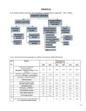 Lietuvos ir Latvijos bankų palyginamieji aspektai 17 puslapis