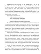 Lietuvos ir Latvijos bankų palyginamieji aspektai 4 puslapis