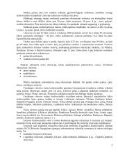 Lietuvos ir Latvijos turistinės infrastruktūros ir išteklių palyginimas 4 puslapis