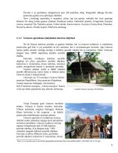 Lietuvos ir Latvijos turistinės infrastruktūros ir išteklių palyginimas 8 puslapis