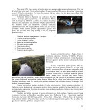 Lietuvos ir Latvijos turistinės infrastruktūros ir išteklių palyginimas 10 puslapis