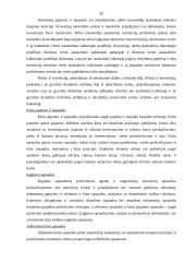 Praktikos ataskaita: draudimo kompanija  "PZU Lietuva" 20 puslapis