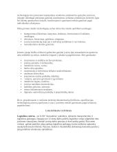 Praktikos ataskaita: prekyba lengvaisiais automobiliais ir logistikos centras UAB "Autosabina" 3 puslapis