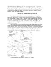 Praktikos ataskaita: prekyba lengvaisiais automobiliais ir logistikos centras UAB "Autosabina" 7 puslapis