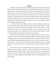 Lietuvos ir užsienio šalių mokesčių sistemų palyginamoji analizė 3 puslapis