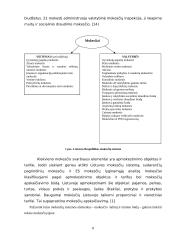 Lietuvos ir užsienio šalių mokesčių sistemų palyginamoji analizė 8 puslapis