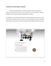 Praktikos ataskaita: reklamos agentūra UAB "TAPE" 12 puslapis