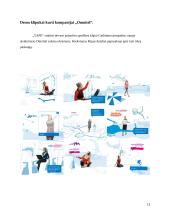 Praktikos ataskaita: reklamos agentūra UAB "TAPE" 13 puslapis