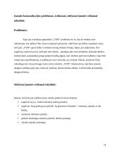 Praktikos ataskaita: reklamos agentūra UAB "TAPE" 14 puslapis