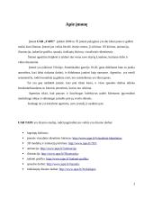 Praktikos ataskaita: reklamos agentūra UAB "TAPE" 3 puslapis