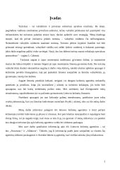 Lietuvos kelionių agentūros: "Novaturas" ir "Alfaturas" 2 puslapis