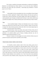 Lietuvos kelionių agentūros: "Novaturas" ir "Alfaturas" 11 puslapis