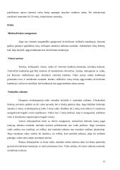 Lietuvos kelionių agentūros: "Novaturas" ir "Alfaturas" 12 puslapis