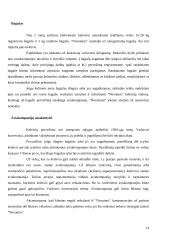 Lietuvos kelionių agentūros: "Novaturas" ir "Alfaturas" 14 puslapis