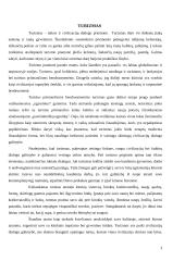 Lietuvos kelionių agentūros: "Novaturas" ir "Alfaturas" 3 puslapis